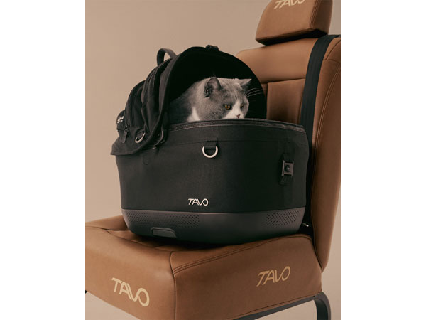 Tavo Pets MaeveTM iso Wind 600x