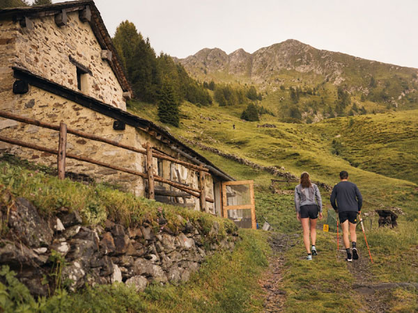 WAV26 Walks e Vibes Bassa Valtellina 600x