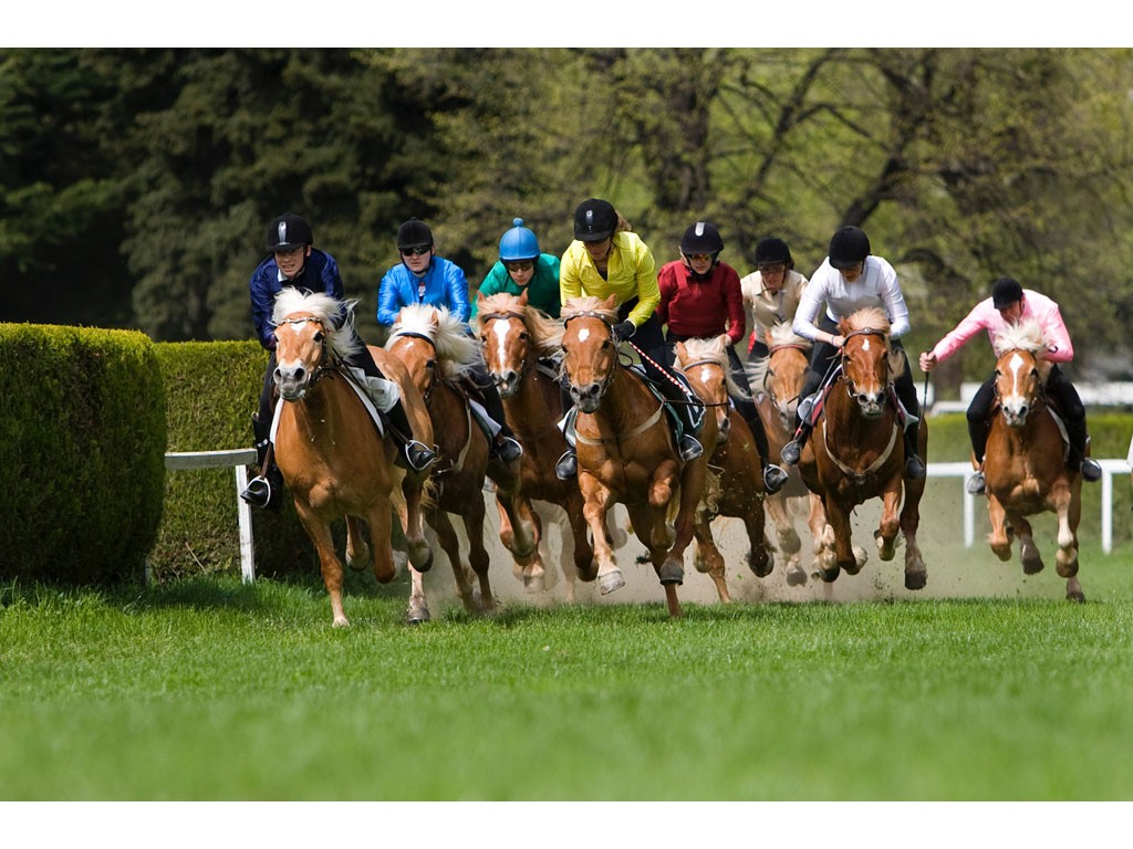 Azienda di Soggiorno di Merano. Lunedì 18 Aprile 2022. 124a Edizione delle Corse Tradizionali dei cavalli Haflinger. Ippodromo di Merano a partire dalle ore 13.00. Alle ore 10.00 è prevista, lungo le vie del centro, una sfilata dei partecipanti con bande e gruppi folcloristici. Foto Press Arigossi.