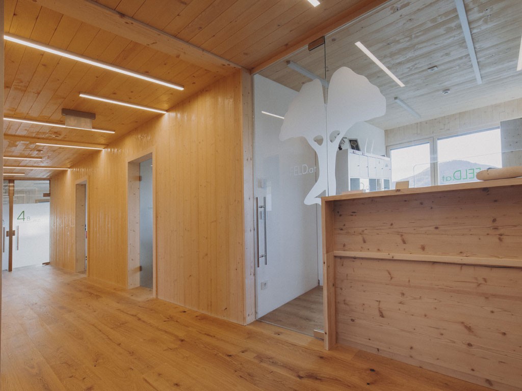 holzius. Il nuovo centro fisioterapico bewegungsFELDA a Faistenau, in Austria, realizzato su progetto dello Studio m3-ZT dei fratelli Mösl. Copyright Verena Schierl.