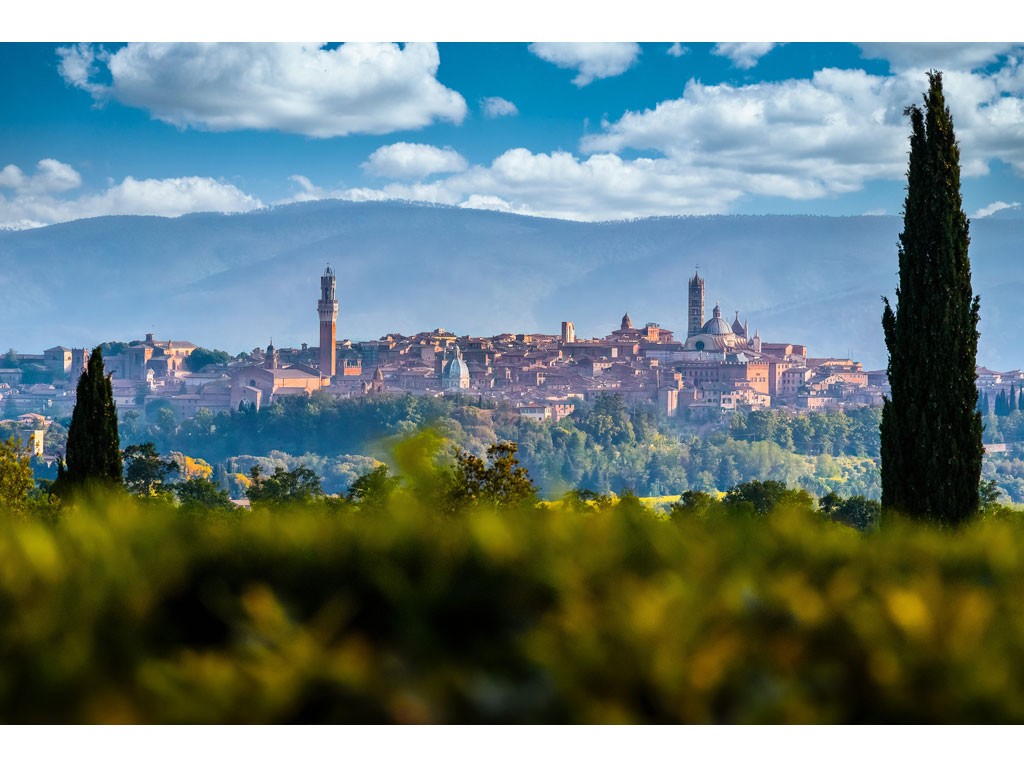 Borgo Scopeto Wine & Country Relais è una tenuta di origine trecentesca a pochi chilometri da Siena, nascosta tra le colline Toscane e dotata di una SPA e centro benessere, parco con due piscine e due campi da tennis, due ampie sale meeting e sala fitness.