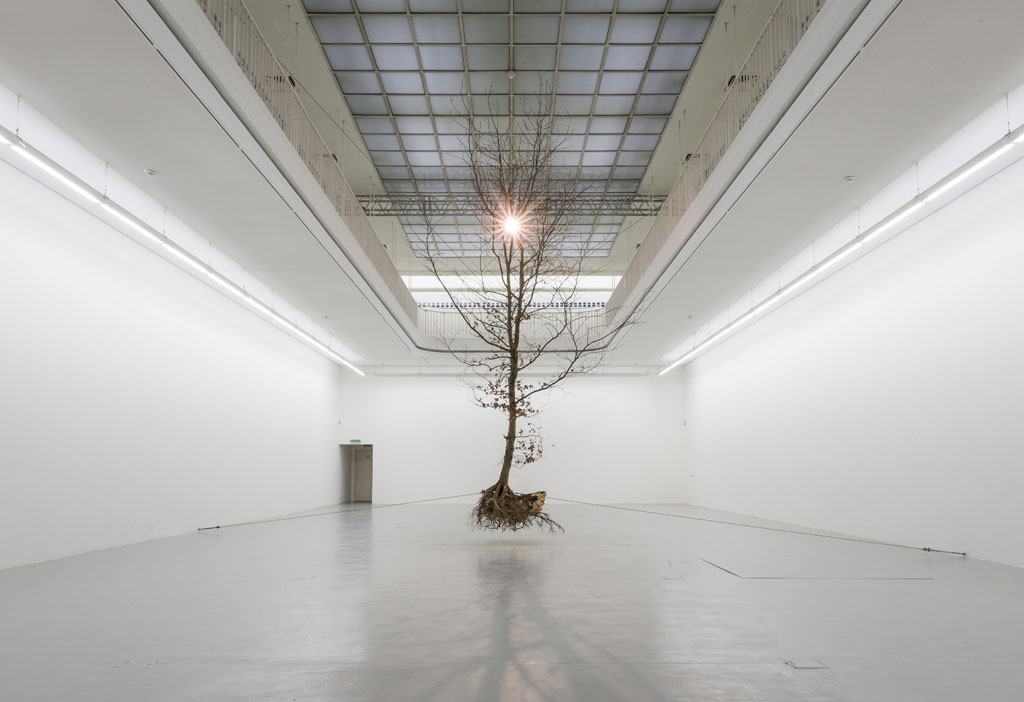Henrick Hakansson DREAM Chiostro del Bramante