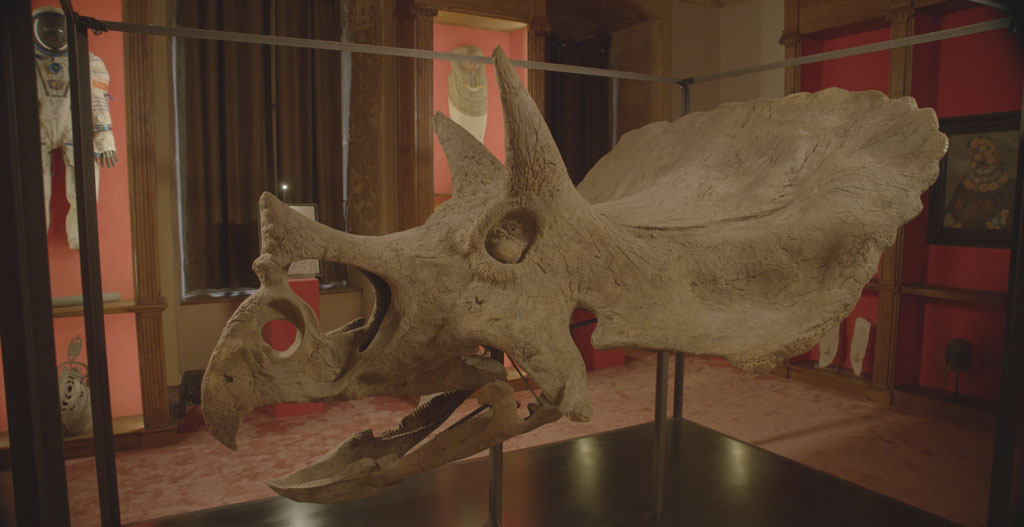 Nell'atrio della Stazione Centrale a Milano il T-Rex più grande al mondo