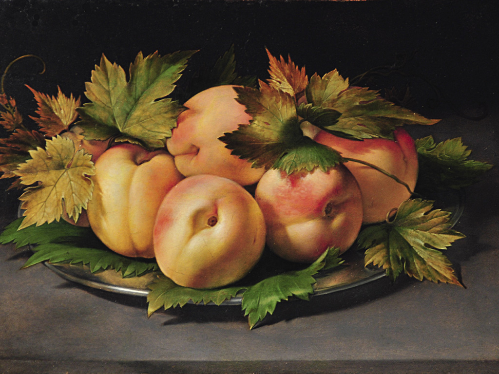 il meraviglioso mondo della natura palazzo reale milano 2019