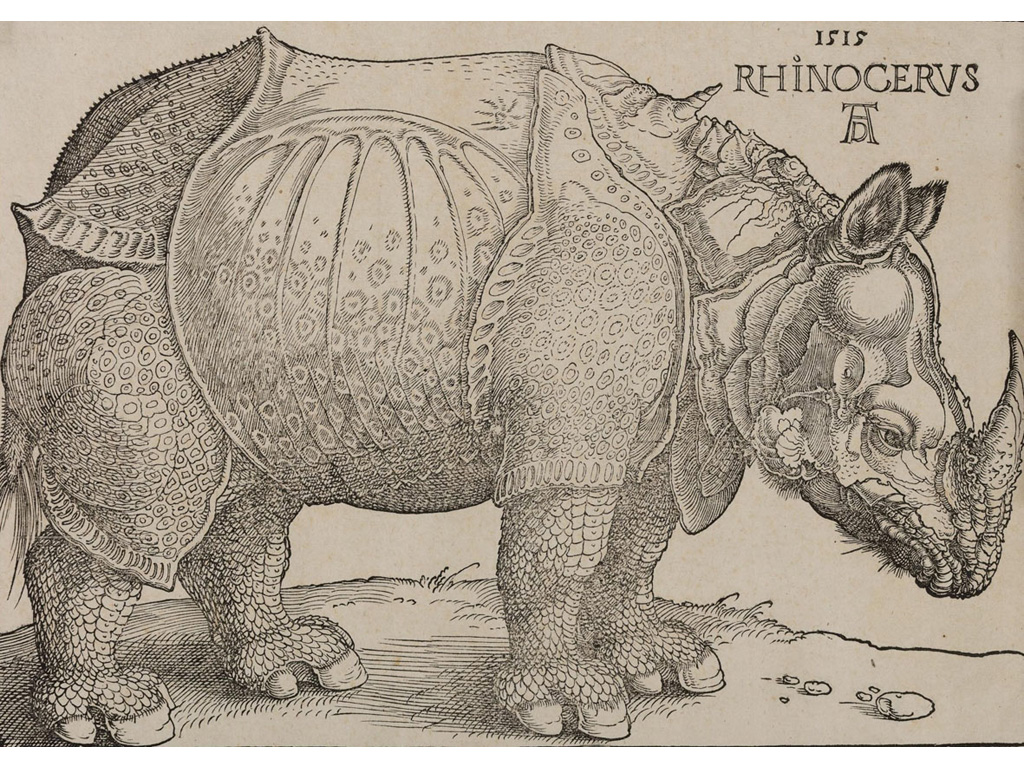 Albrecht Dürer 2019