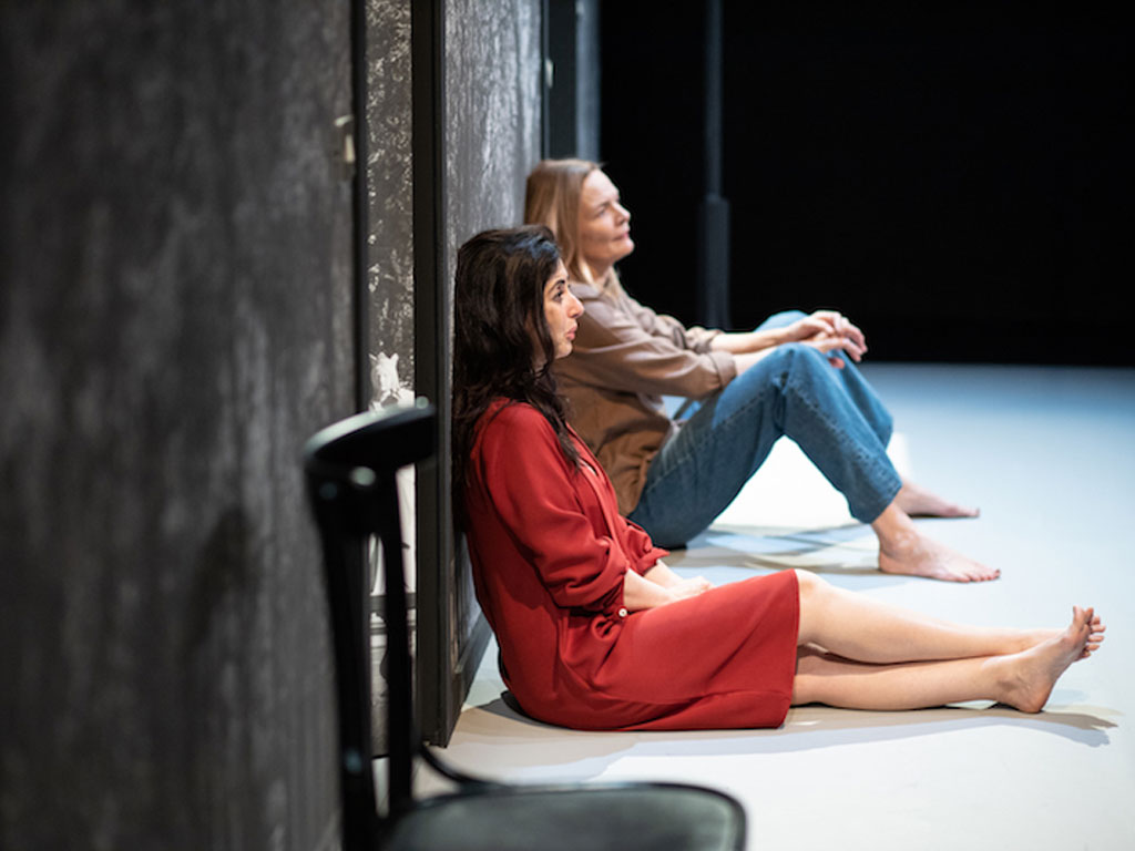 Anatomia comparata dal 7 al 30 giugno 2021 al Teatro Elfo Puccini