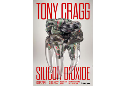 Tony Cragg Silicon Dioxide