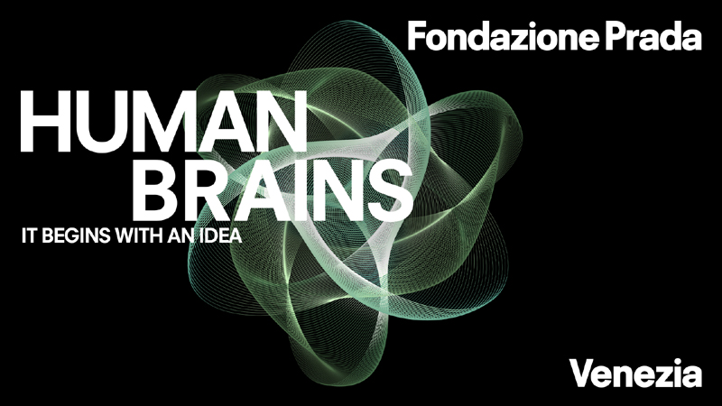 FourExcellences - Human Brains: It Begins with an Idea