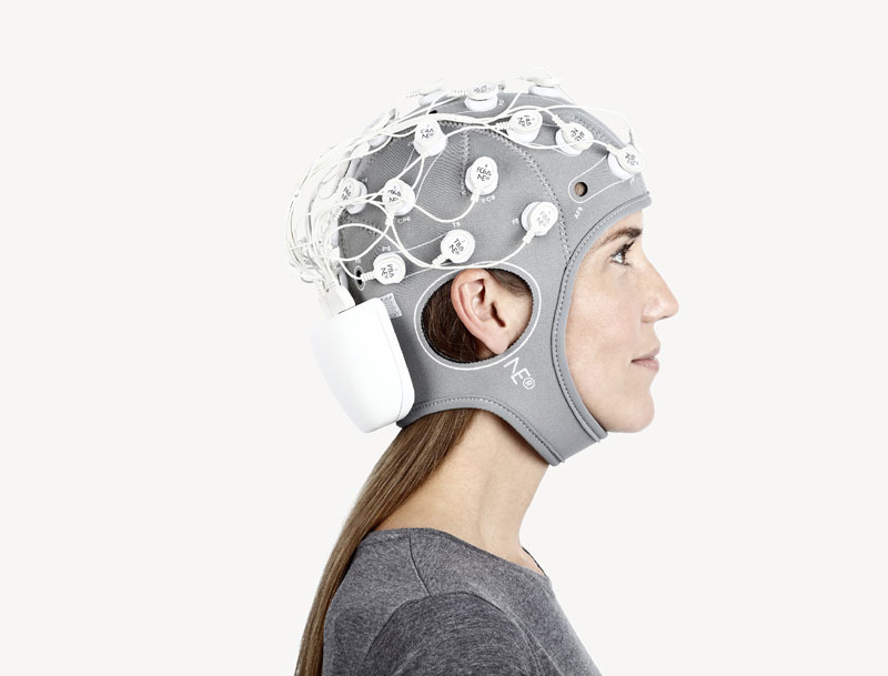 Human Brains: Preserving the Brain Fondazione Prada Milano