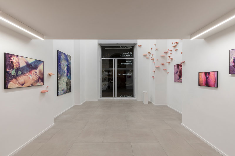Spazio Divario di Roma