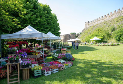 FIORInellaROCCA 2023 Mostra mercato di piante e fiori rari