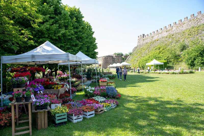 FIORInellaROCCA 2023 Mostra mercato di piante e fiori rari
