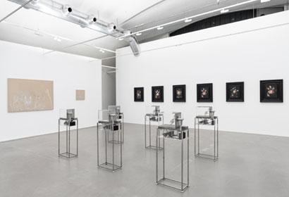 Mat Collishaw. Alluvion