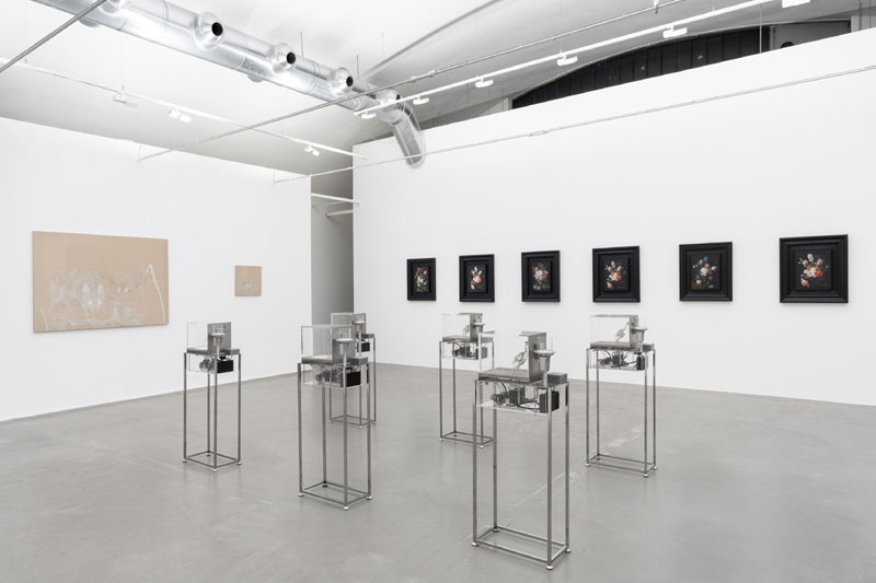 Mat Collishaw. Alluvion