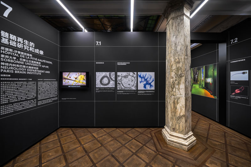 Human Brains: Preserving the Brain. Prada Rong Zhai a Shanghai. Stagione 2022/2023