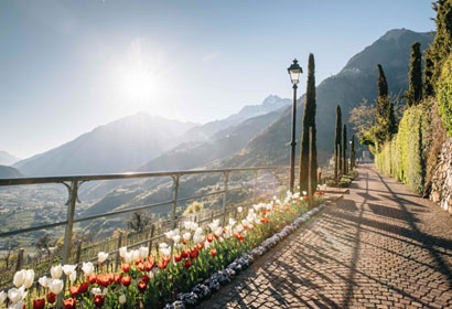 Primavera Culturale a Tirolo 2023