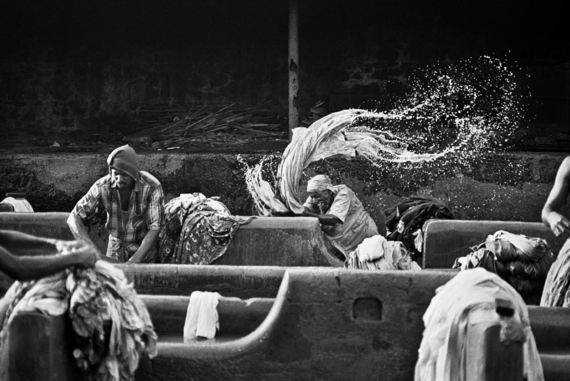 Aqua Mater. Sebastião Salgado. Palazzo Ducale di Genova. Stagione 2023/2024