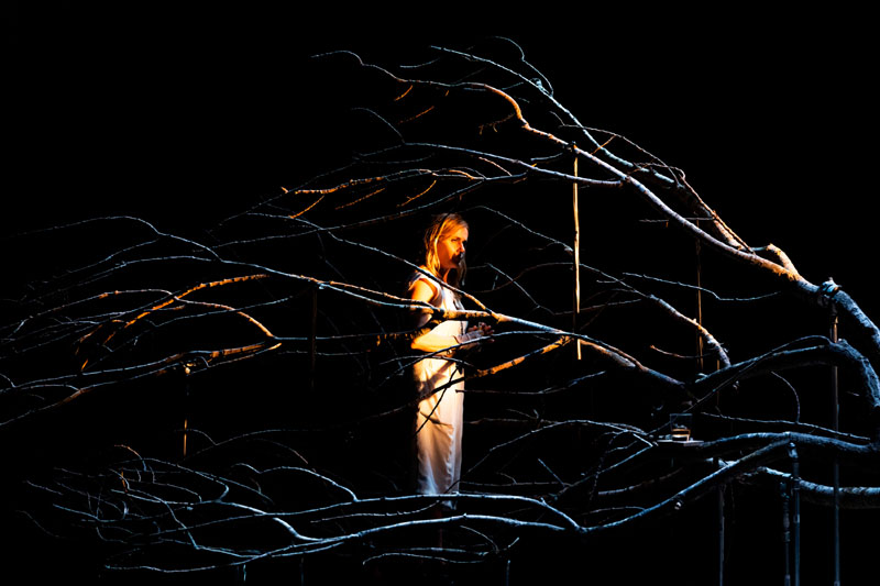Il Sen(n)o. Teatro Menotti Milano. Stagione 2023/2024