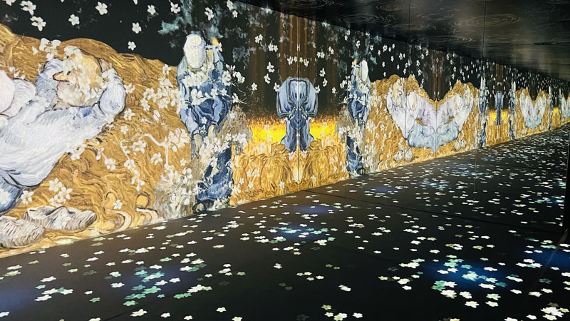 Vincent van Gogh. Museo Revoltella di Trieste. Stagione 2023/2024