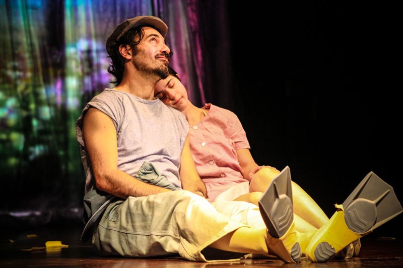 Diario di un brutto anatroccolo. Teatro Franco Parenti Milano.Stagione 2024/2025