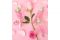 Pixi. Si chiama “Rose Essence Oil” l’olio nutriente trifasico che, grazie alle proprietà rigenerati della rosa, dona alla pelle un’idratazione profonda.