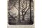 Patricio Reig. “Sempione”  #1 - misure: 94 x 83 cm.