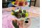 Pane & Trita. Milano. Sushi dell’Amicizia. Degustazione di Uramaki Black Angus 300 gr. (Tropical Roll, Crunchy Roll e Wasabi Roll). Foto Credits: Sara Bosco.
