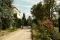 Antica Acetaia Villa Bianca. Il giardino