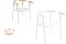 Alias. Sedie Twig3 progettate dallo Studio Nendo, guidato dal designer giapponese Oki Sato. Twig, ha gambe inclinate in alluminio con cinque varianti di sedute: in legno massello di frassino o materiale plastico.