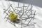 Alessi. Cestino Blow Up. Design Fratelli Campana.