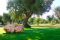 Relais Villa Aieni. Valle d’Itria. San Vito dei Normanni. Ancora una veduta del giardino che circonda la proprietà. Relax e privacy a trecentosessanta gradi.