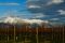 Cantine Fantinel. Il cuore pulsante delle Cantine è a Tauriano, frazione dell'antico borgo di Spilimbergo. 300 ettari di vigneti suddivisi nelle zone DOC Grave, Prosecco e Collio.