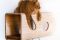 Brandodesign. CAT60, cuccia per gatti  in legno massello ispirata alle forme morbide degli anni '60. (Euro 700,00)