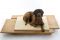Brandodesign. Mira, lettino per cani con doghe in legno massello ad incastro con morbido Futon.