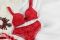 Intimissimi. Completino in pizzo rosso con reggiseno push-up. Fall/Winter 2017-2018 Collection. Collezione Autunno/Inverno 2017-2018.