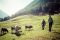 Val di Sole. Trekking in alta quota. (Ph. Pillow Lab)