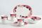 Villeroy & Boch. Collezione di piatti in porcellana “Rose sauvage”.