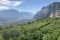 Altemasi. Cavit. La Strada di Fontanelle, tra il Lago di Garda e le Dolomiti del Brenta, nell’immagine, accoglie i vigneti e gli ulivi dell’Azienda Agricola Le Fontanelle. In questa zona sub-meditteranea i vigneti godono per tutto l’anno di un clima mite senza rischio di stress climatici sia d’estate che d’inverno grazie alla presenza dei venti l’Ora e il Pelèr del Garda che rendono l’area libera da umidità e nebbie.