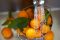 Culligan Italiana. L’acqua osmotizzata utilizzata in fase di lavaggio e di cottura di frutta e verdura fa sì che tutti gli ingredienti non assorbono alcuna sostanza indesiderata che possa comprometterne la qualità. L’acqua osmotizzata è utile anche per ammorbidire prima dell’utilizzo le mandorle, i legumi e i cereali.