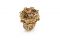 Artistar Jewels 2019. Courtesy of Artistar Jewels. Astrolabe,
2017. Ring Gold, White Diamonds, Rock Crystal, Orange Sapphires, Tanzanite, Zircon, Spinel, Ruby, Demantoid.