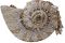 Mary Frances Accessories. Borsa Nautilus. Euro 380.