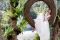 Atelier Emé. Collezione abiti da sposa 2020.