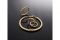 Giovanni Raspini. Collezione 