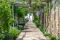Italy Sotheby’s International Realty. Capri. L’ingresso alla casa è un lungo viale circondato da un pergolato di tronchi intrecciati. Al termine si apre un’area living intima e accogliente. Il giardino è disseminato di piante aromatiche, piante da frutto e viti.