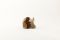 Valentina Romen alias Eigenart. Soulmates. Two Souls in One. Anello aperto in bronzo rosso o giallo. Prezzo: euro 290,00.