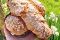 Andreina di Loreto. Chef Errico Recanati. La Colomba nella versione con burro demi-sel, arancio e zendero canditi. E nella versione con burro demi-sel affumicato e caramello salato. Confezione da 750 gr. Prezzo al pubblico: euro 30,00.