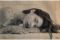 Patricio Reig. Bautista #005, 2019.
Fotografia analogica, stampata su carta trattata con caffè e chimico, 100% manuale. (58x82 cm).