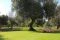 Relais Villa Aieni. Valle d’Itria. San Vito dei Normanni. Alberi da frutto, ulivi secolari e un vasto giardino circondano la villa.